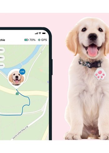 Mobil Uygulamalı Evcil Hayvan Takip Cihazı - Görsel 2