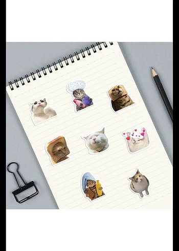 Çılgın Kediler Sticker Seti - Görsel 3