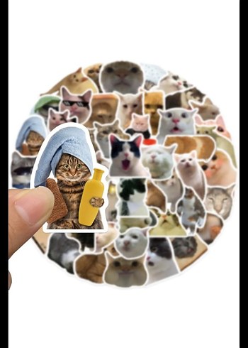 Çılgın Kediler Sticker Seti - Görsel 2