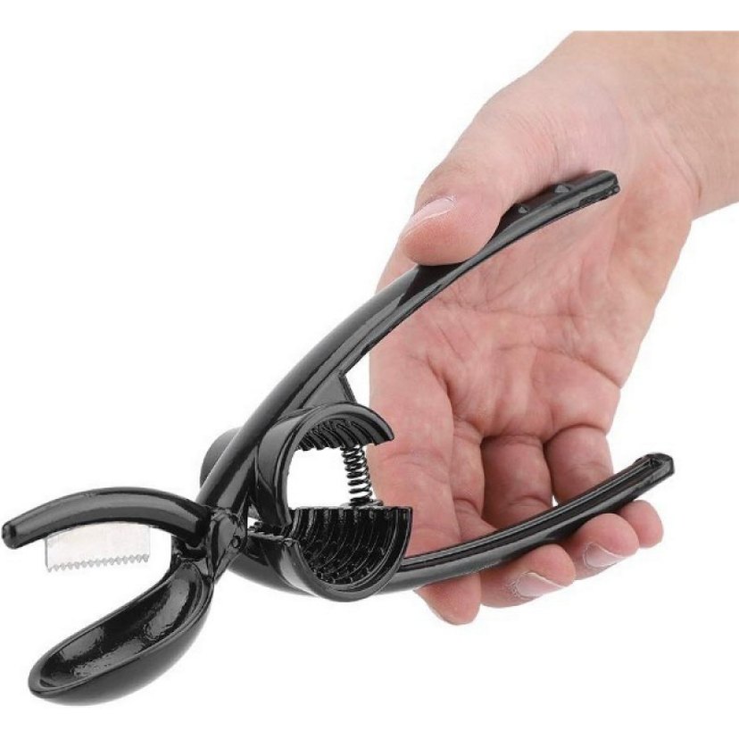 2'si 1 Arada Kestane Çizici ve Ceviz Kıracağı - Görsel 4