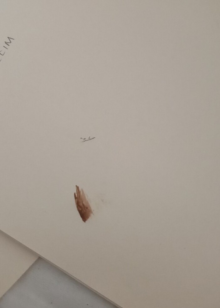 Kaş fırçası  - Görsel 3