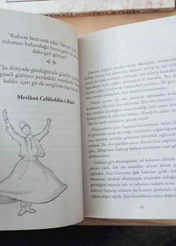 Dert İnsana Yol Gösterir - Şems ile Mevlana - Görsel 2