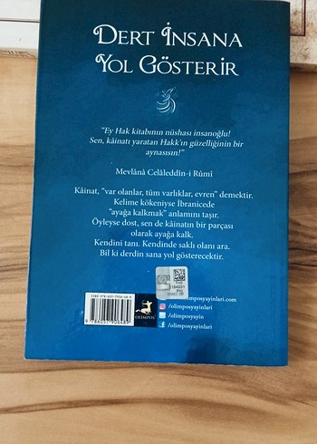 Dert İnsana Yol Gösterir - Şems ile Mevlana - Görsel 3