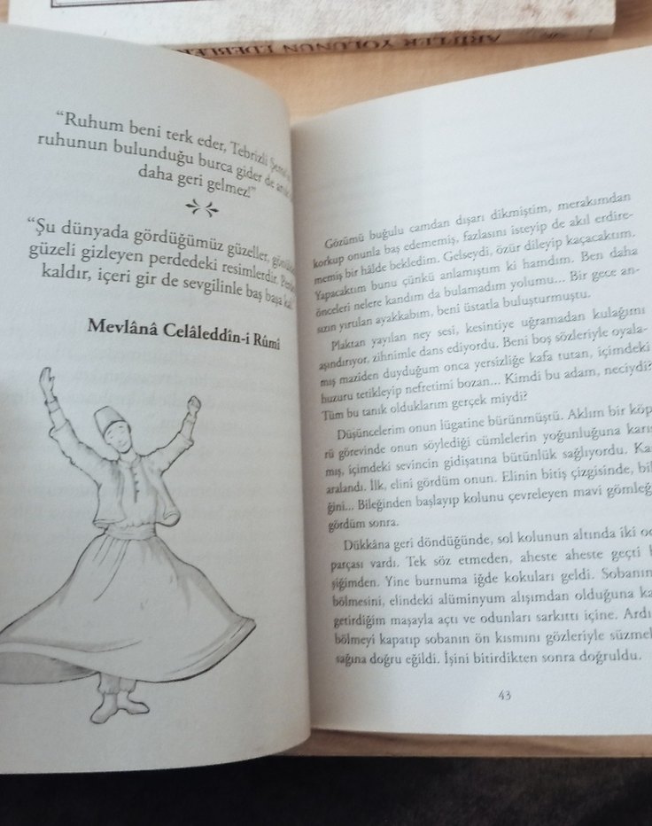 Dert İnsana Yol Gösterir - Şems ile Mevlana - Görsel 2