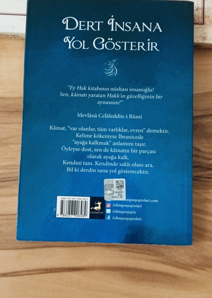 Dert İnsana Yol Gösterir - Şems ile Mevlana - Görsel 3