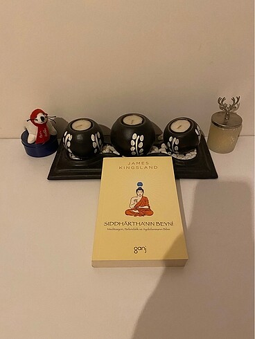 Siddhartha?nın Beyni