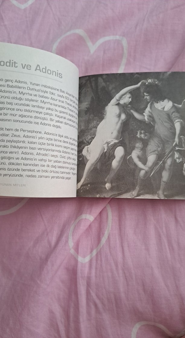 Dakkikalar İçinde Mitoloji - Neil Philip - Görsel 4