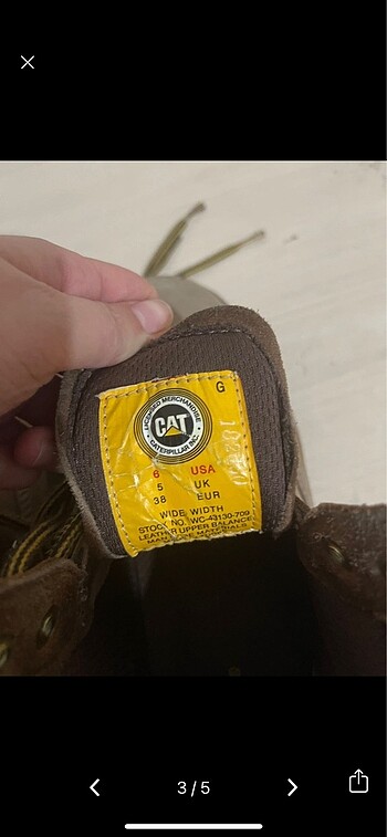 38 Beden ten rengi Renk Cat bot