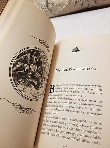  Beden Renk Hint masalları kitap