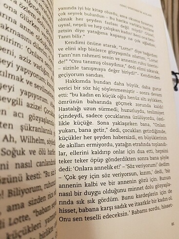  Beden Genç werther'in acıları goethe kitap