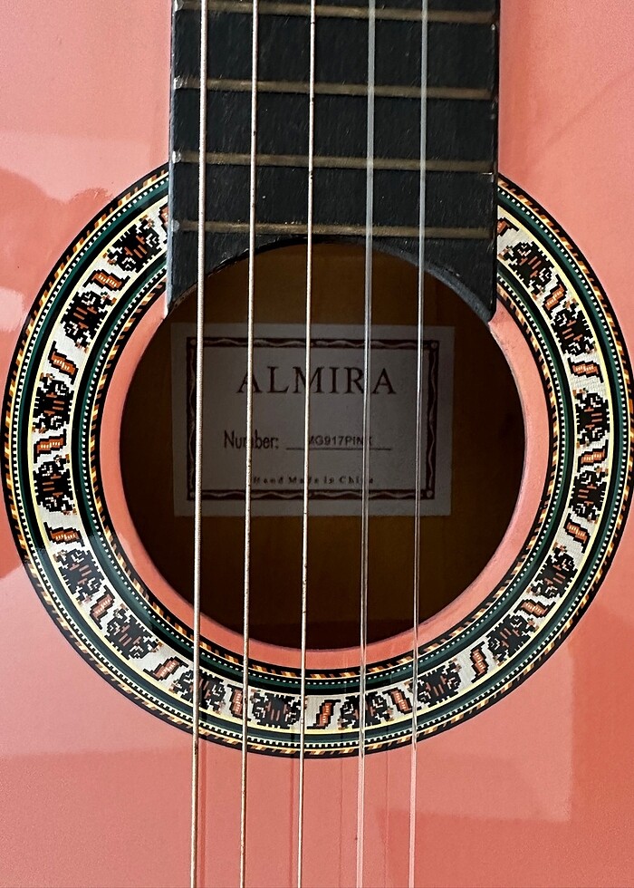 Gitar - Görsel 4