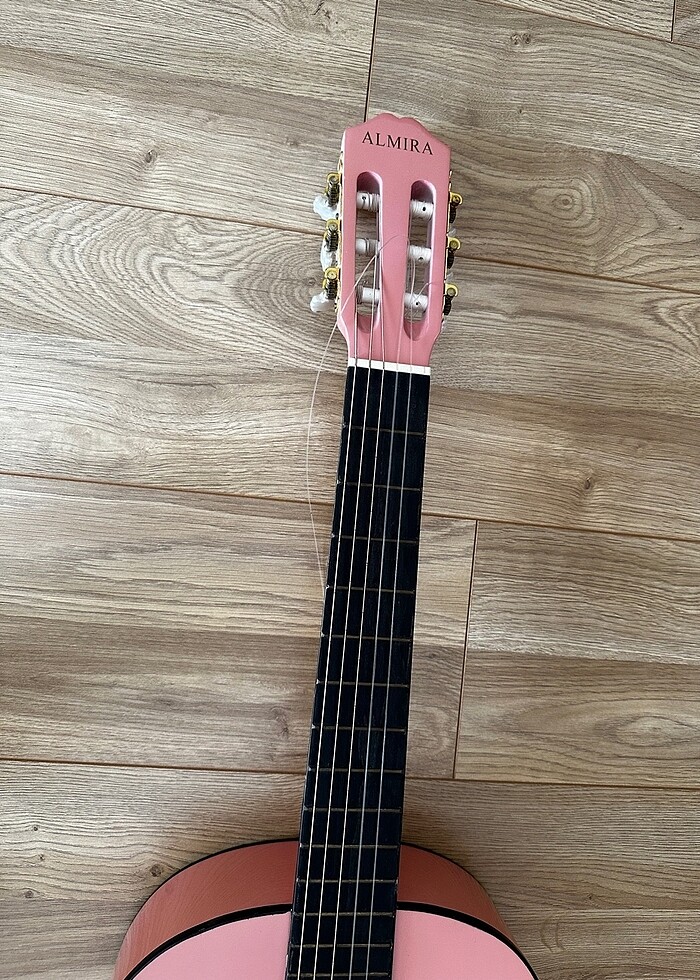 Gitar - Görsel 3