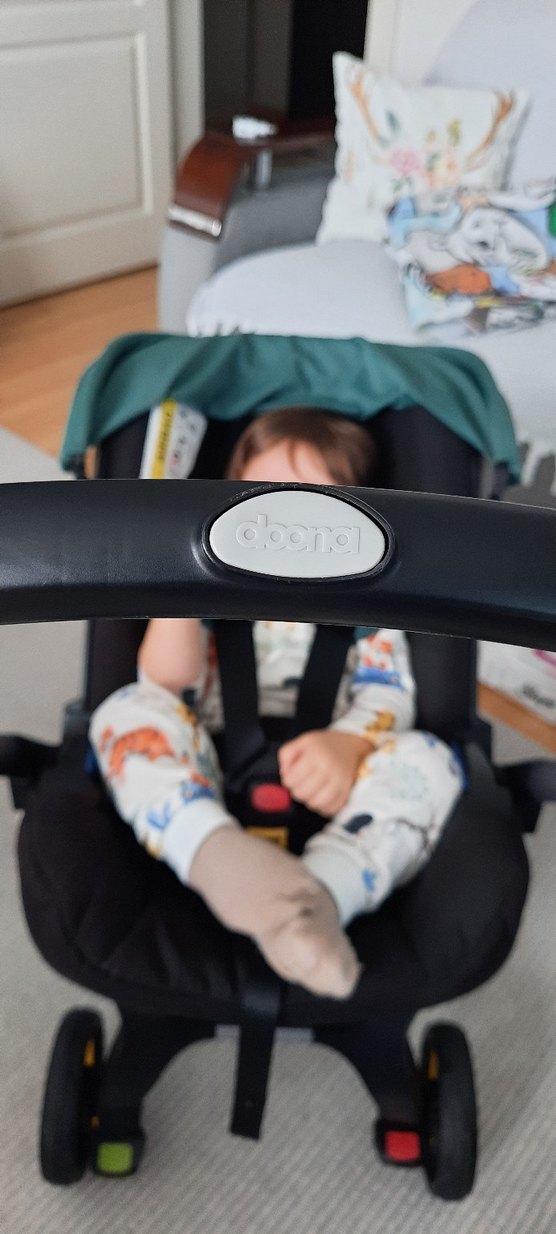 Orjinal Doona Bebek Arabası - Görsel 3