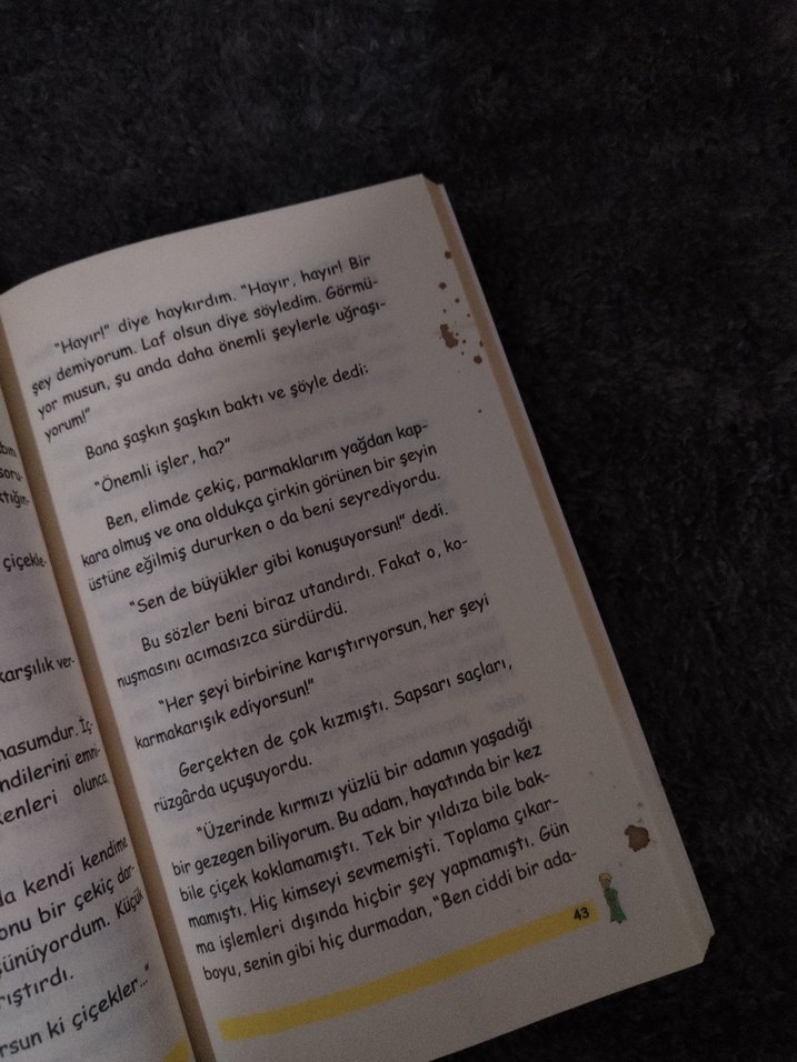 Küçük Prens - Antoine de Saint-Exupéry - Görsel 5