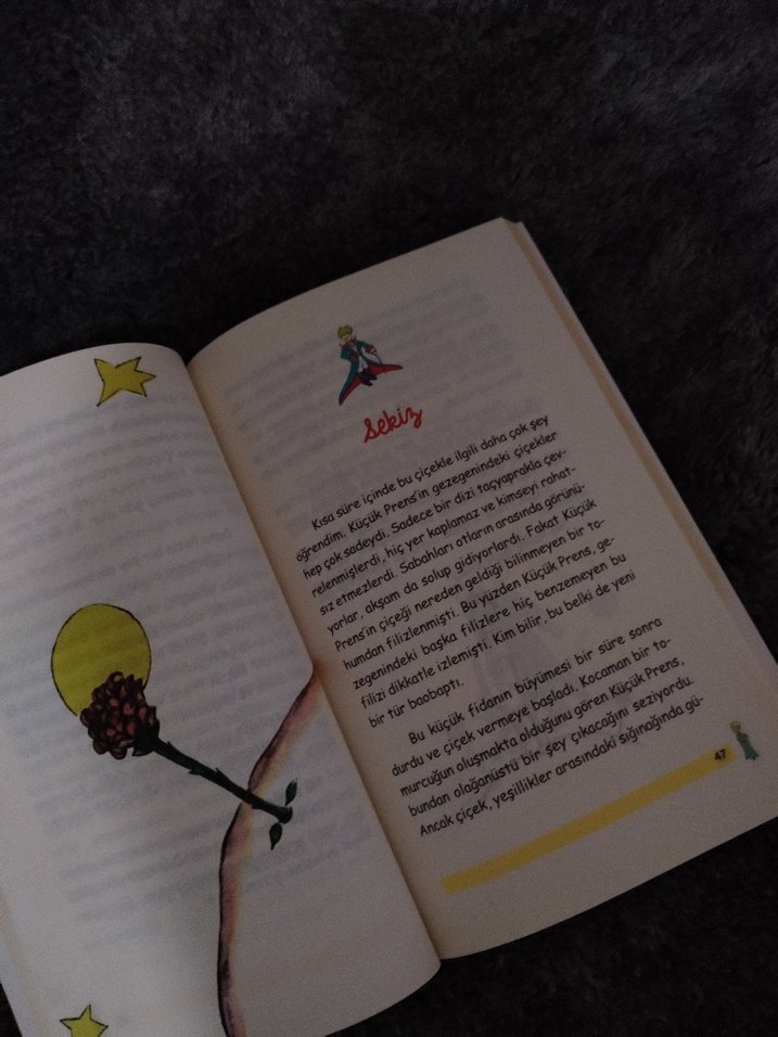 Küçük Prens - Antoine de Saint-Exupéry - Görsel 4