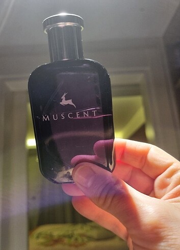 Muscent delicate rose