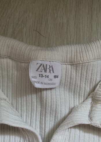Zara Polo yaka tişört