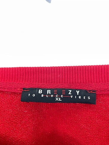 xl Beden çeşitli Renk Diğer Sweatshirt %70 İndirimli.