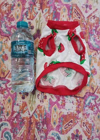 Renkli Baskılı ve Fırfırlı Köpek Kıyafetleri - Görsel 3