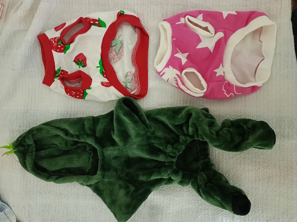 Renkli Baskılı ve Fırfırlı Köpek Kıyafetleri - Görsel 2