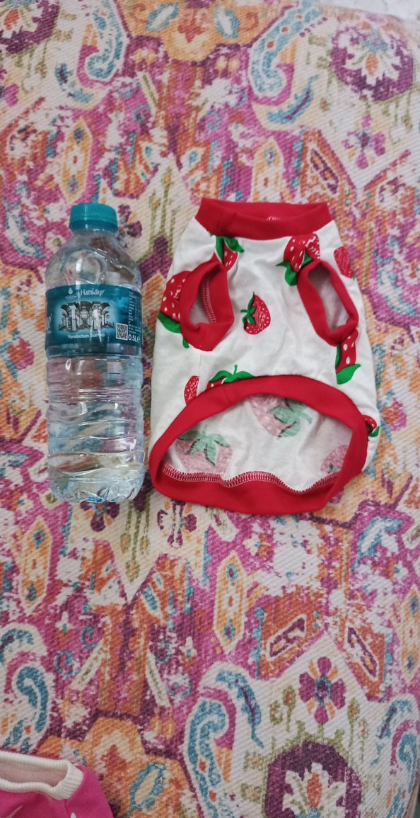 Renkli Baskılı ve Fırfırlı Köpek Kıyafetleri - Görsel 3