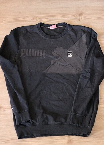 Erkek Sweatshirt 