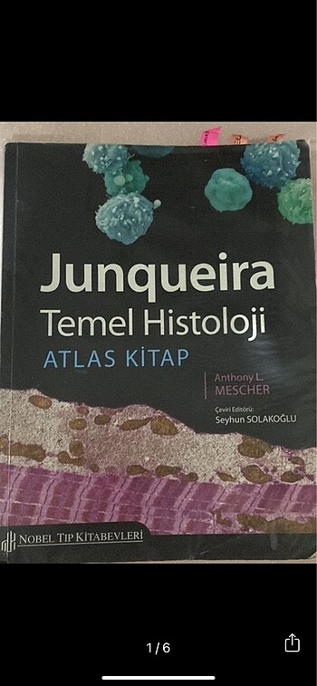 histoloji atlası
