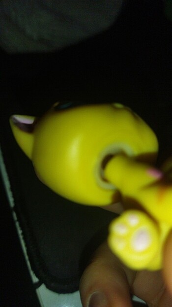  Beden Renk lps cat
