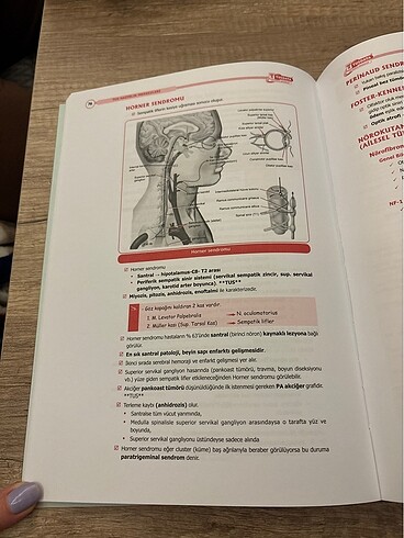  Beden Tusdata Küçük Stajlar 1