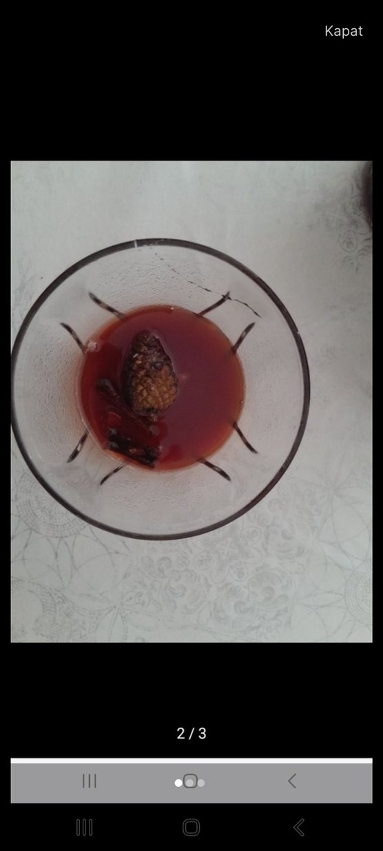 organik ev yapimi kozalak pekmezi - Görsel 2