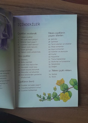 Doğa Yabani Çiçekler Kitabı - Görsel 4