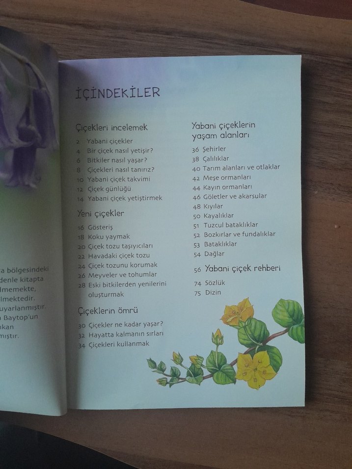 Doğa Yabani Çiçekler Kitabı - Görsel 4