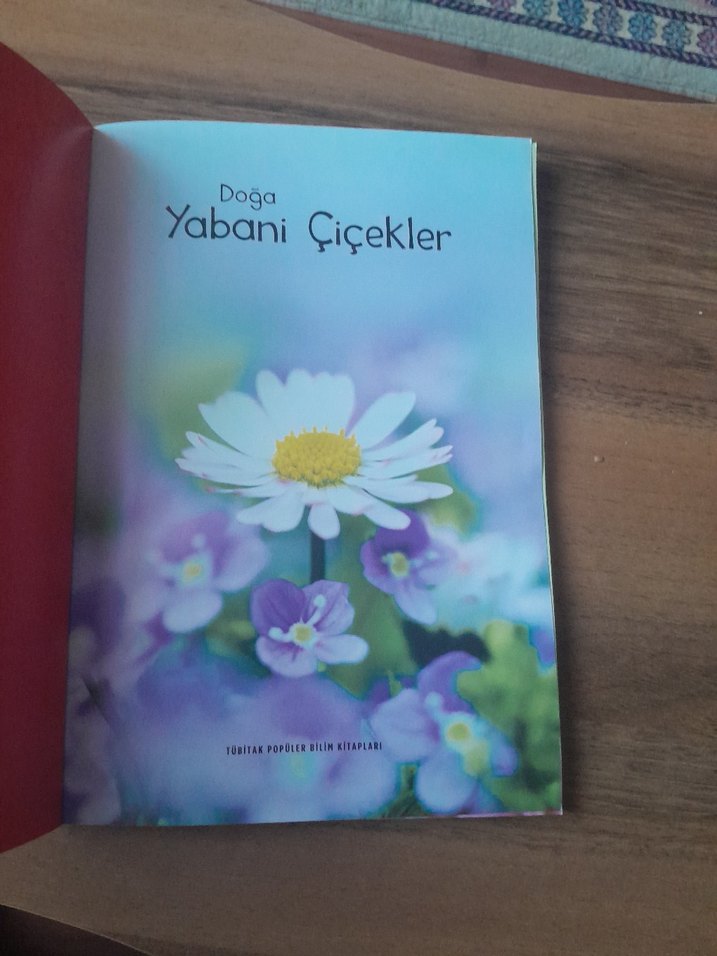 Doğa Yabani Çiçekler Kitabı - Görsel 2