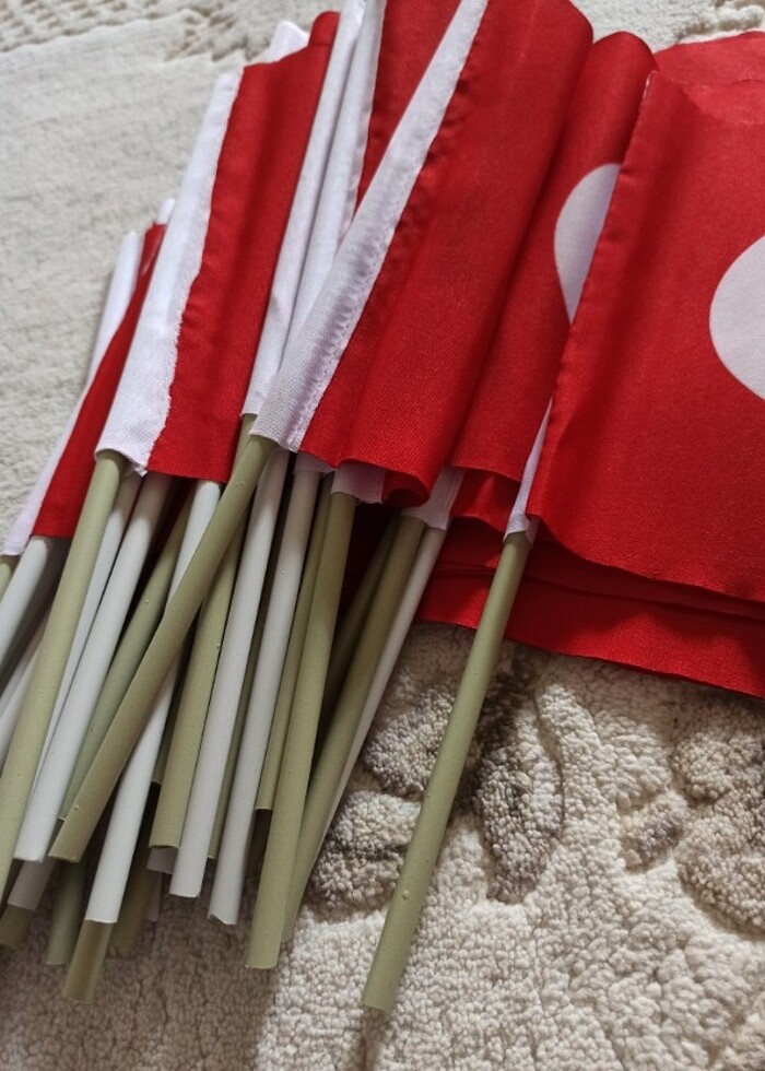 Sopalı bez Türk bayrağı - Görsel 2