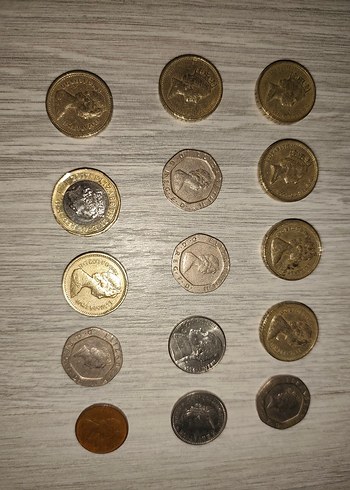 karışık koleksiyon - Görsel 2