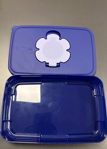 Beden Mavi Tupperware Saklama Kabı