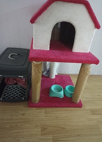 Kedi evi kumlugu ve taşıma çantası 