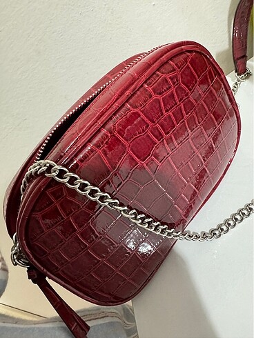 stradivarius canta