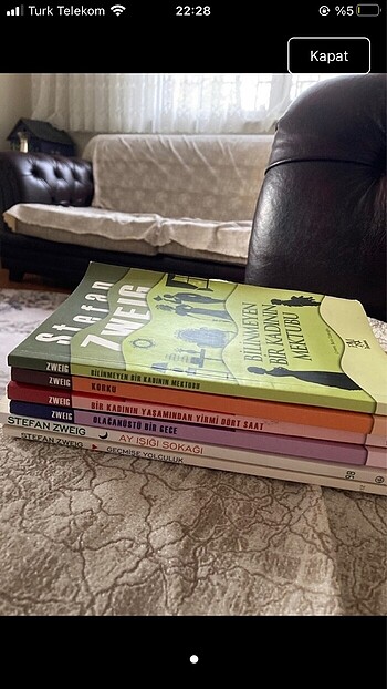 stefan zweig kitapları