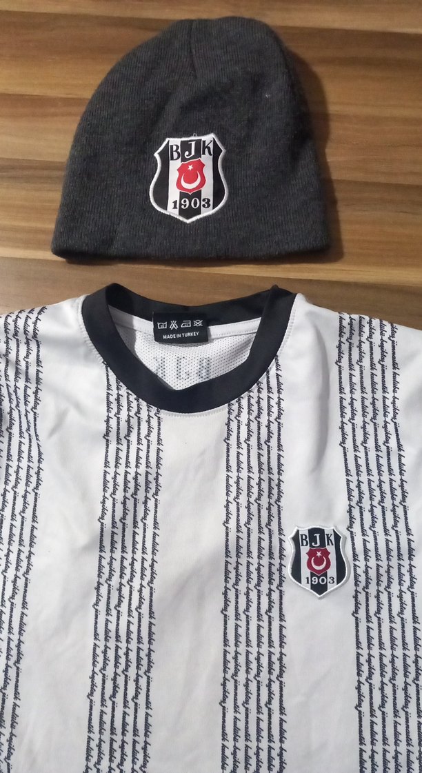 BJK Logolu Gri Beyaz Erkek Tişört - Görsel 2