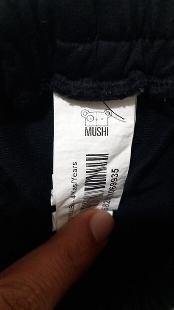 Mushi Eşortman 