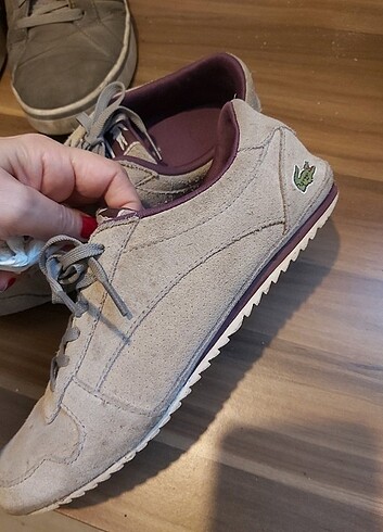 Lacoste orijinal 