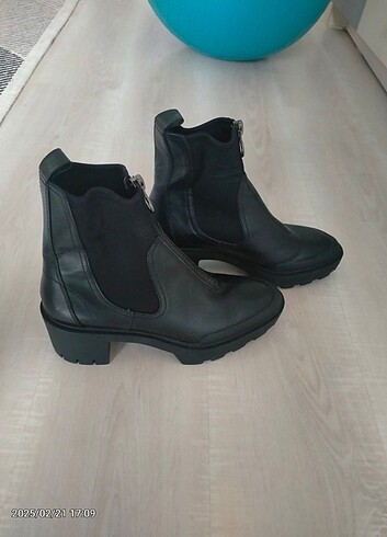 41 Beden Zara bot