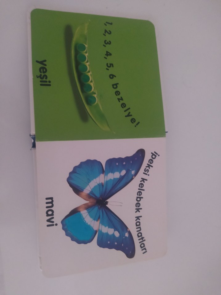 Renkler ve Şekiller - Bebek Dokun ve Hisset Kitabı - Görsel 3