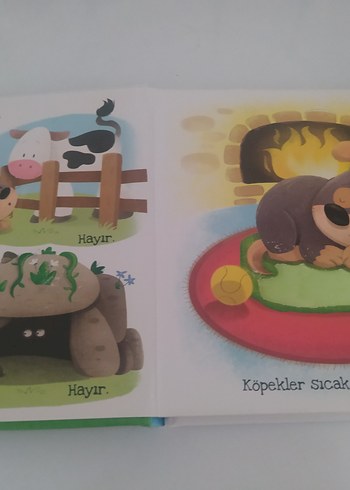  Köpekler Ne Sever? - EOLO Çocuk Kitabı