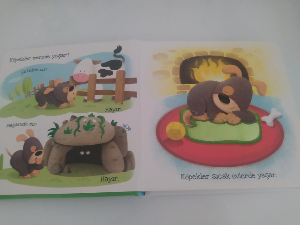 Köpekler Ne Sever? - EOLO Çocuk Kitabı - Görsel 2