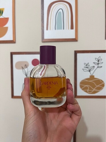 Zara Gardenia Parfüm