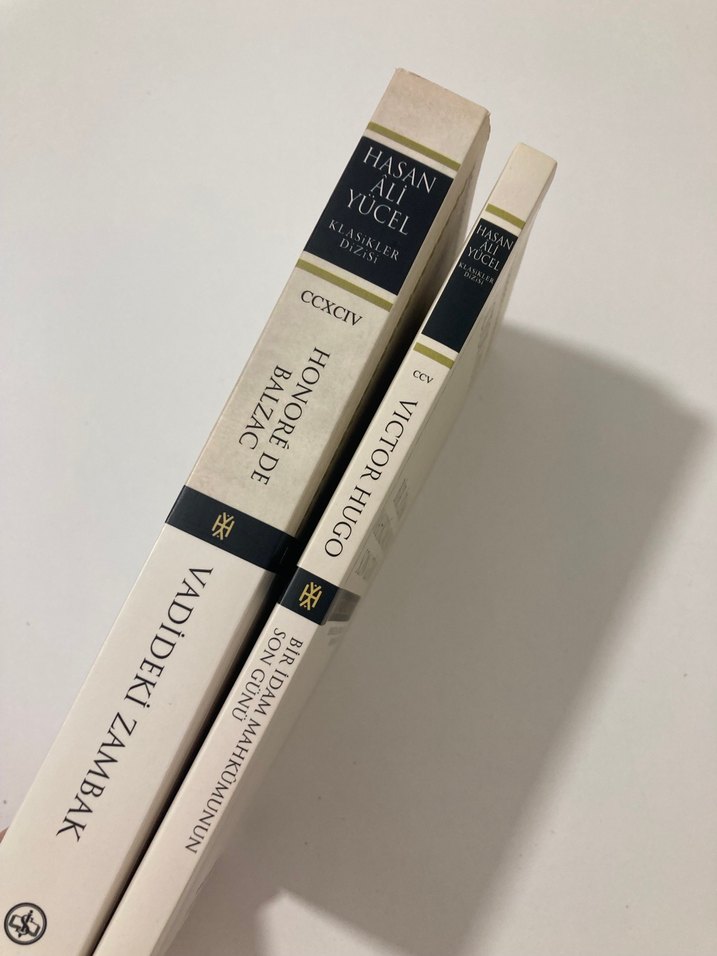 Bir idam mahkumunun son günü&Vadideki zambak - Görsel 2