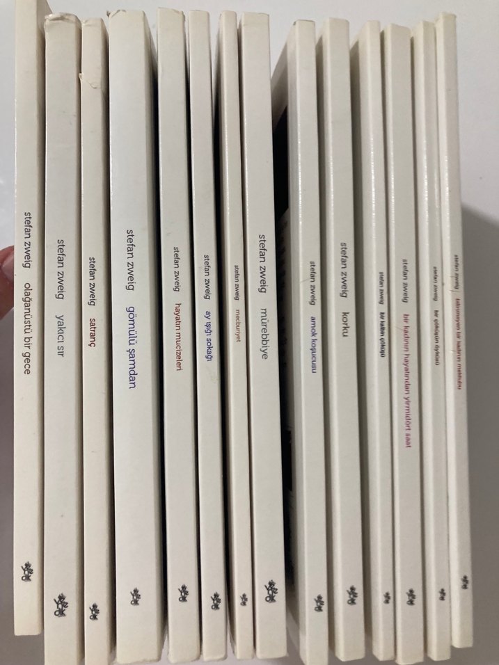 Stefan Zweig seti - Görsel 3