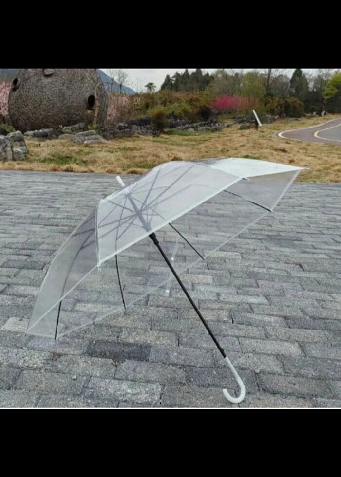 Şeffaf şemsiye  - Görsel 5